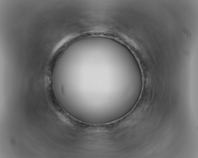 X0000114161400200910221558