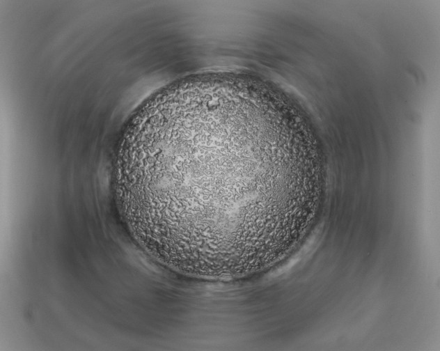 X0000114161401200910221558