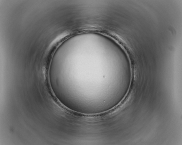 X0000114161402200910221558