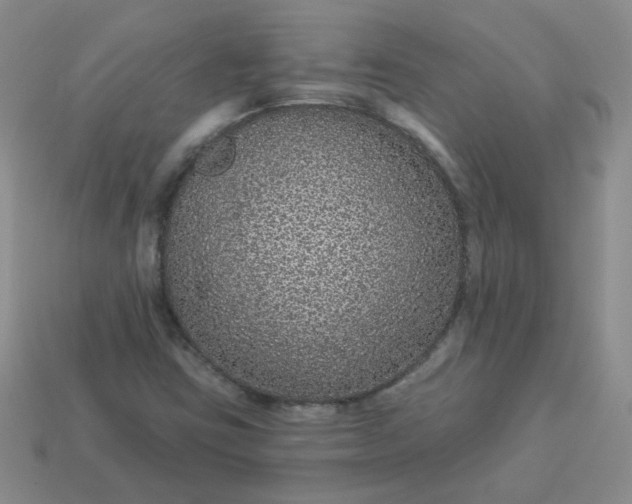 X0000114161403200910221558