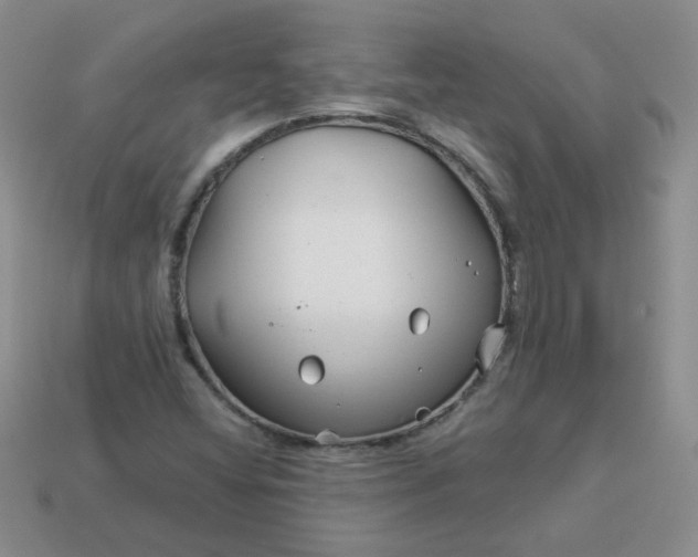 X0000114161404200910221558