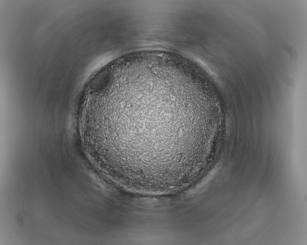 X0000114161405200910221558