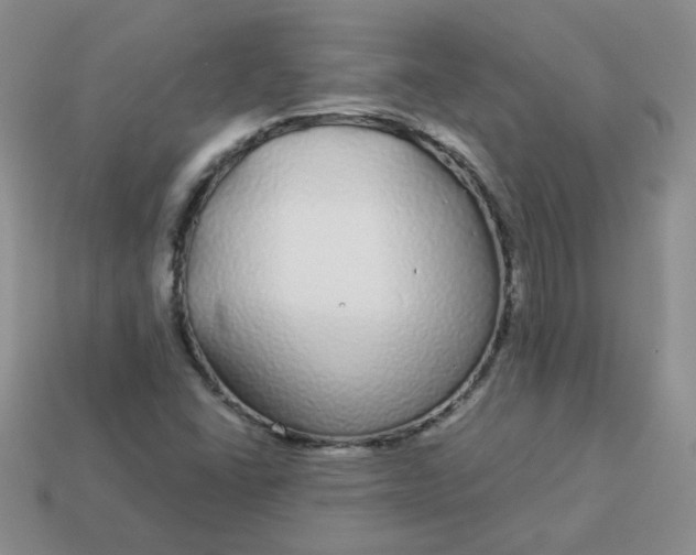 X0000114161406200910221558