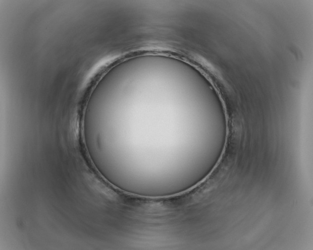 X0000114161408200910221558