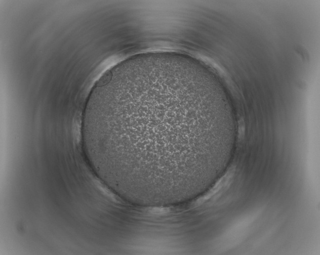 X0000114161409200910221558