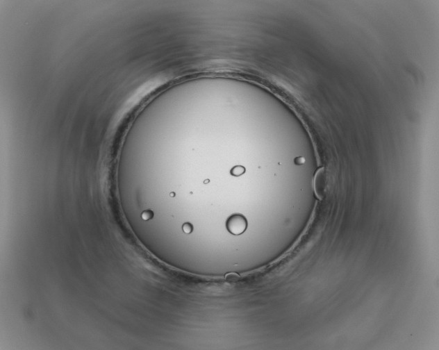 X0000114161410200910221558