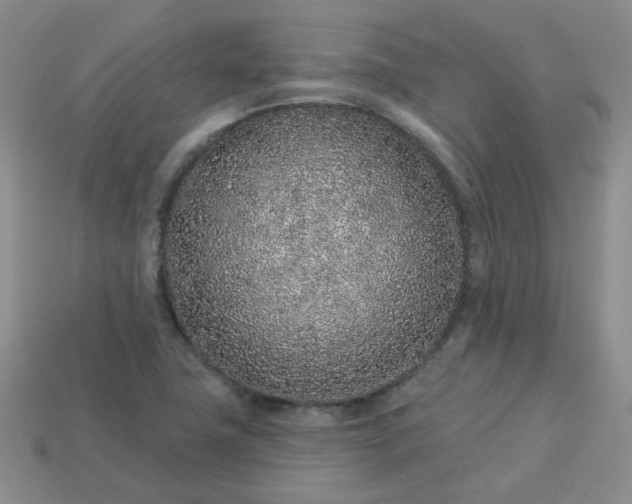 X0000114161411200910221558