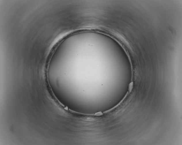 X0000114161412200910221558