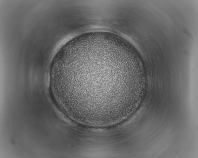 X0000114161413200910221558