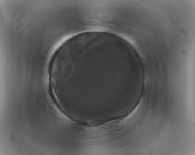 X0000114161414200910221558