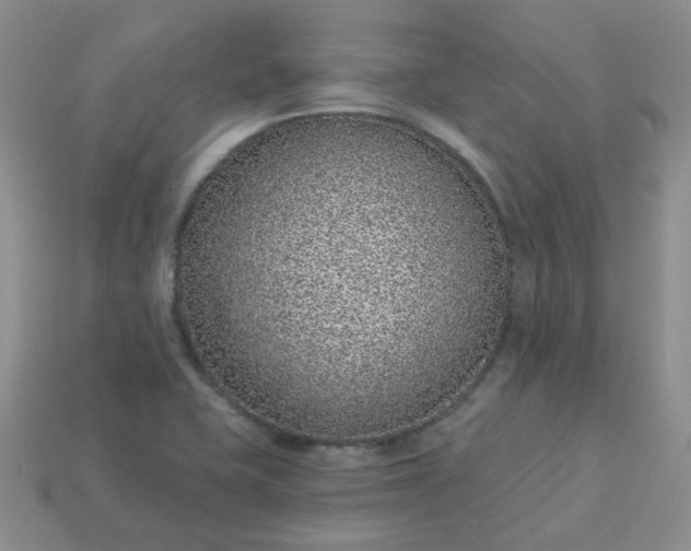 X0000114161415200910221558