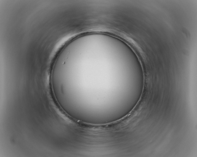 X0000114161416200910221558