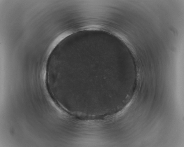 X0000114161418200910221558