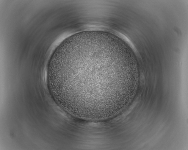 X0000114161419200910221558