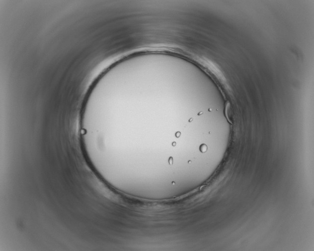 X0000114161420200910221558