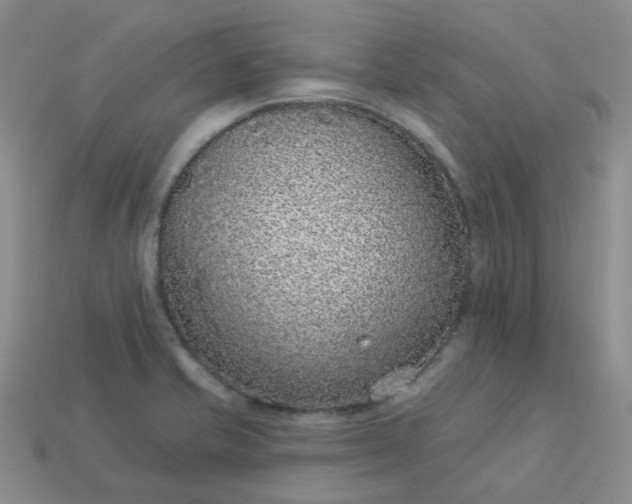 X0000114161421200910221558