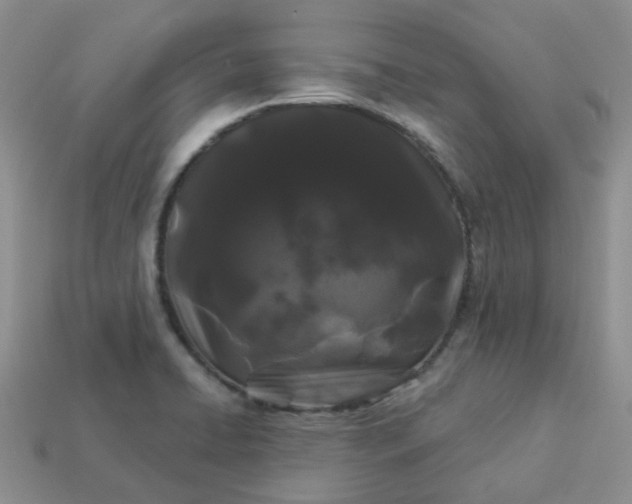 X0000114161422200910221558