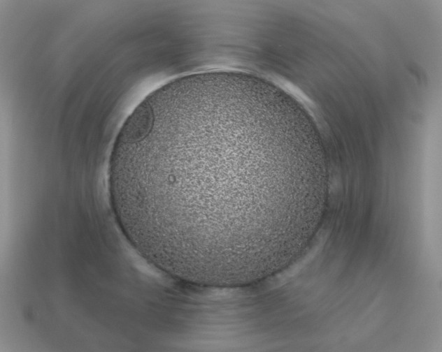 X0000114161423200910221558