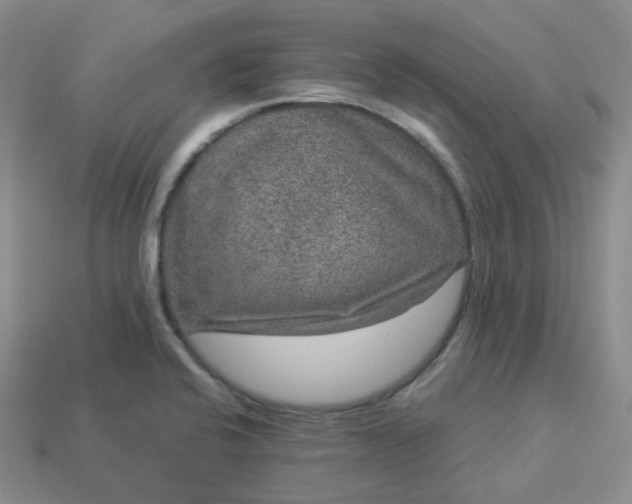 X0000114161424200910221558