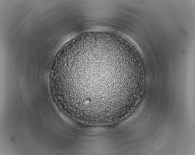 X0000114161425200910221558