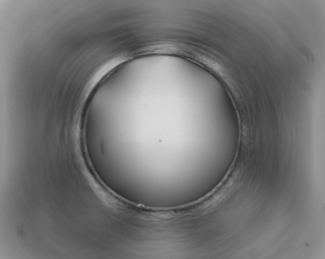 X0000114161426200910221558