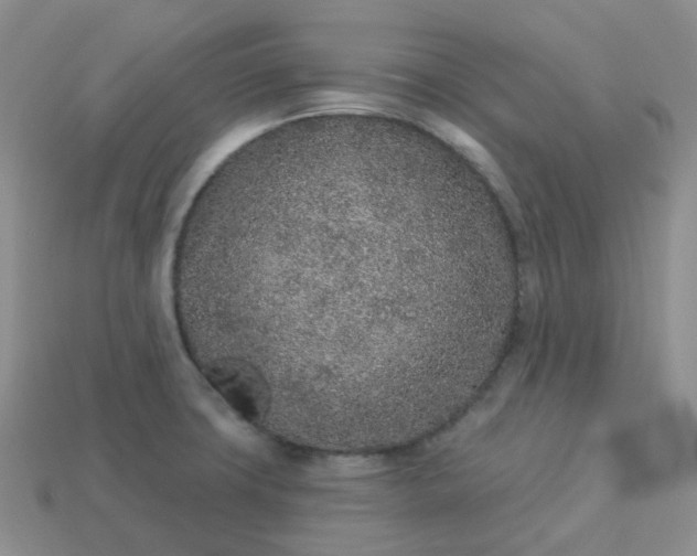 X0000114161427200910221558