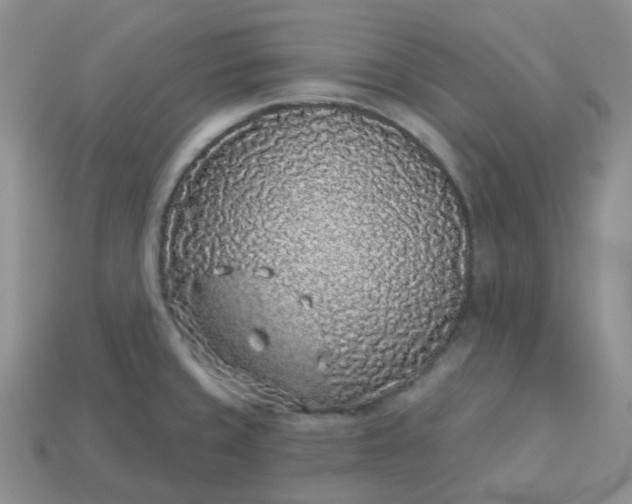 X0000114161429200910221558