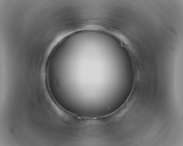 X0000114161430200910221558