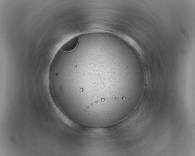 X0000114161431200910221558