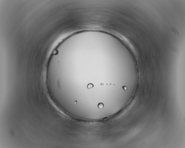 X0000114161432200910221558