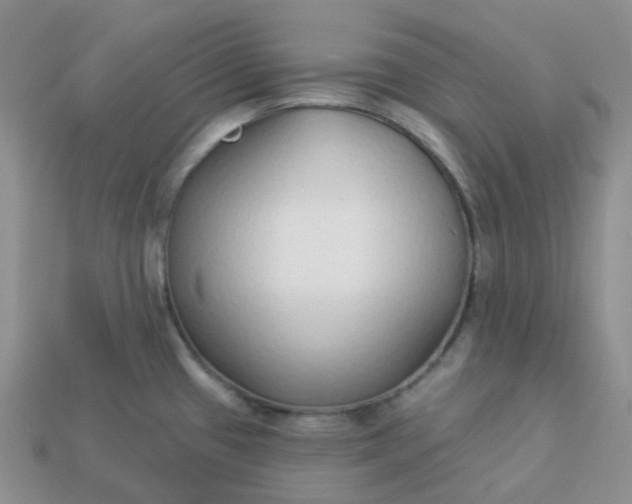 X0000114161433200910221558