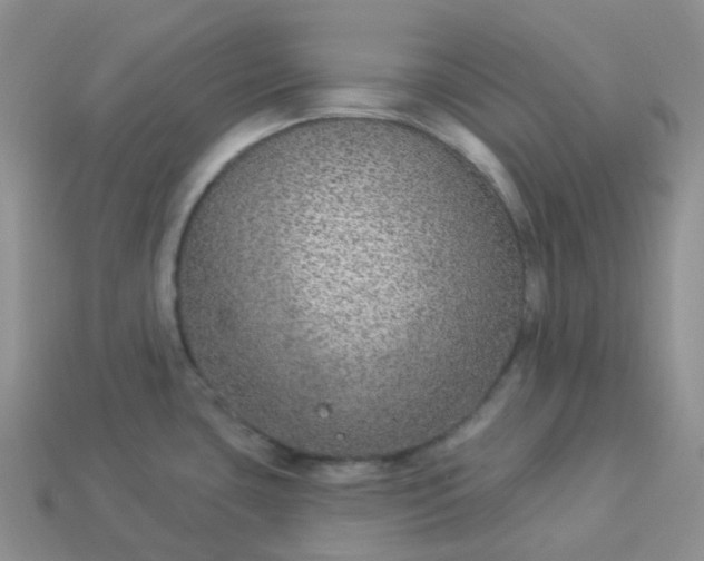 X0000114161435200910221558