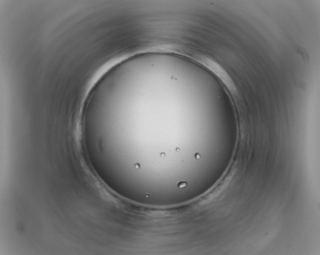 X0000114161436200910221558