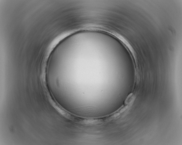 X0000114161437200910221558