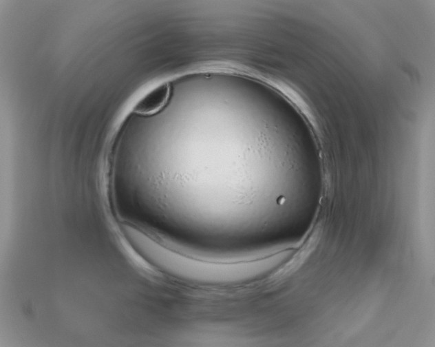 X0000114161438200910221558