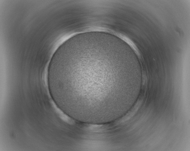 X0000114161439200910221558