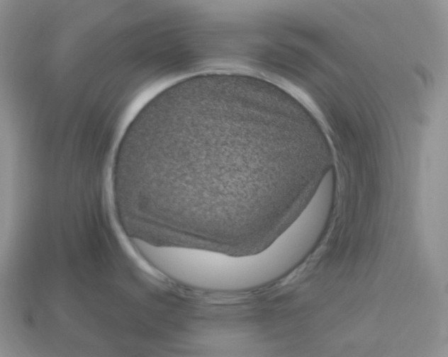 X0000114161440200910221558