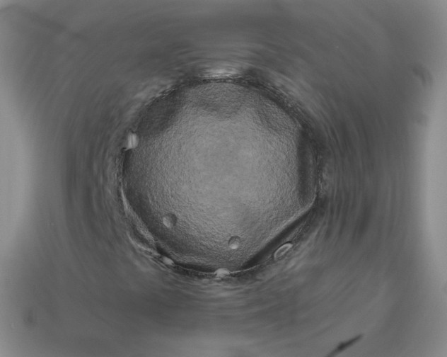 X0000114161441200910221558