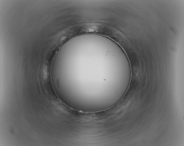 X0000114161442200910221558