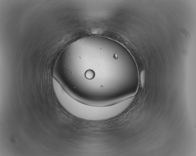 X0000114161443200910221558