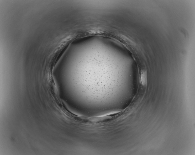 X0000114161444200910221558