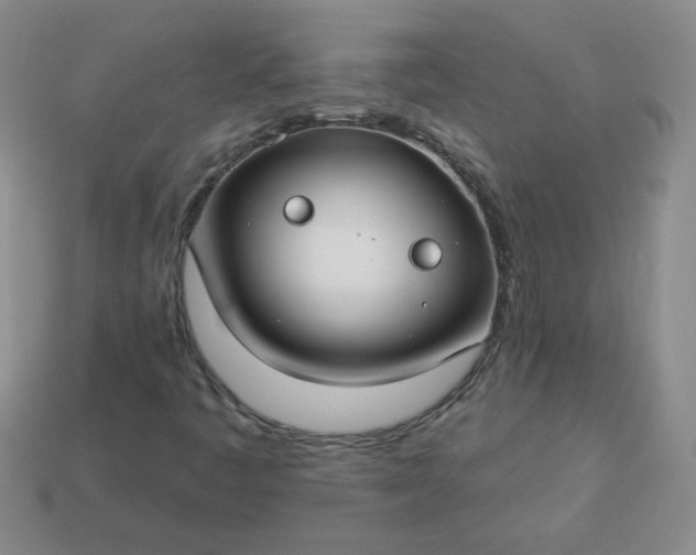 X0000114161445200910221558