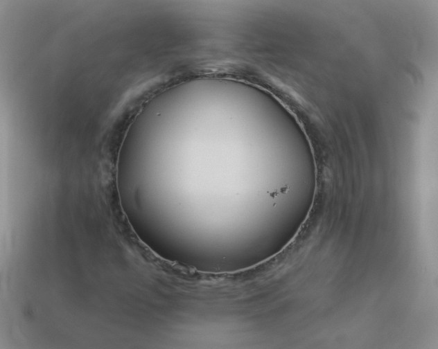 X0000114161447200910221558