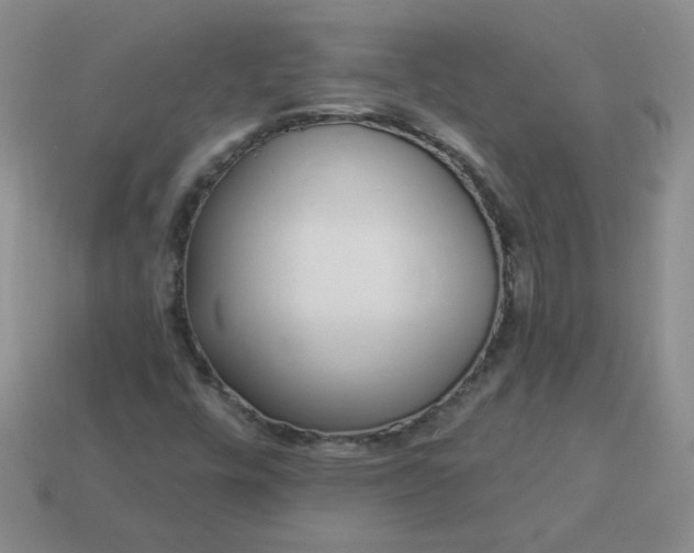 X0000114161448200910221558