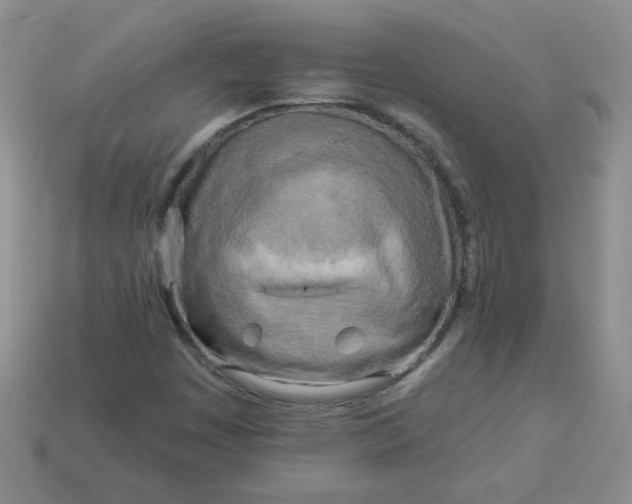 X0000114161449200910221558