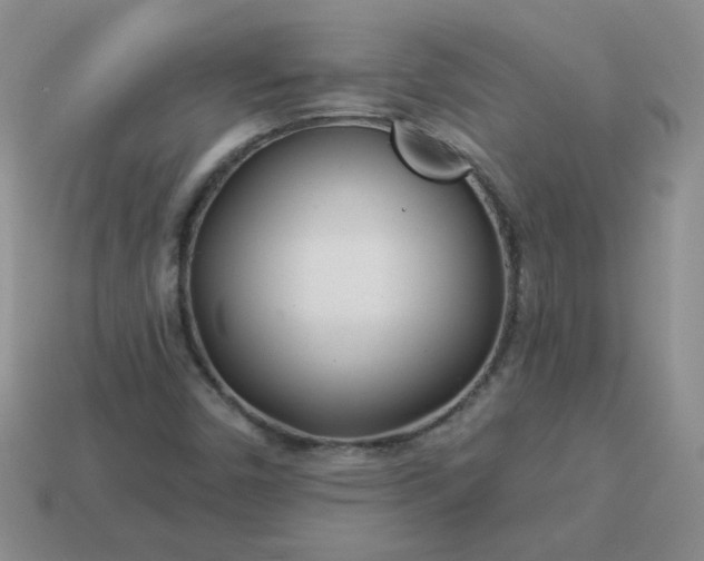 X0000114161450200910221558