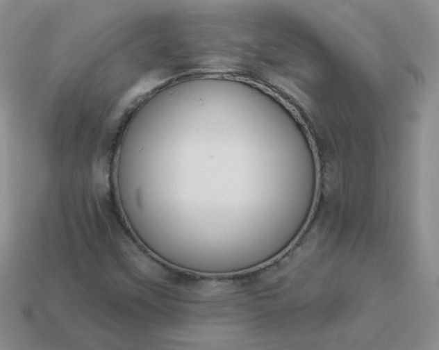 X0000114161451200910221558