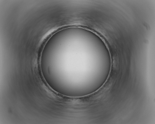 X0000114161452200910221558