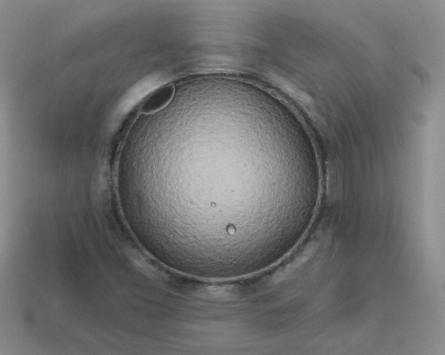 X0000114161453200910221558