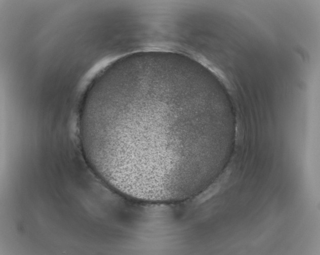 X0000114161454200910221558